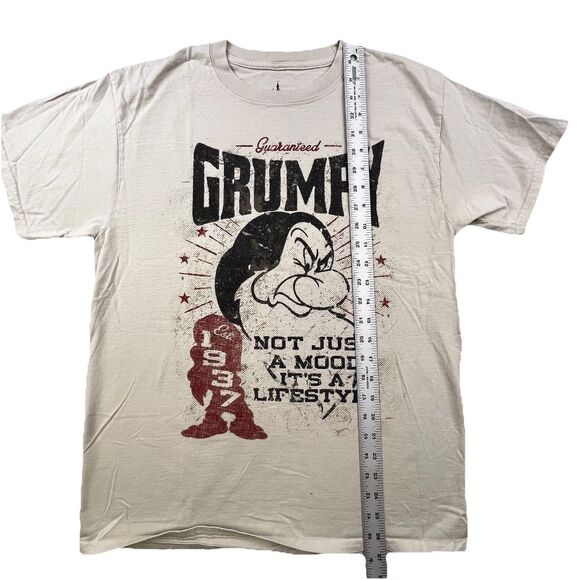 Disney Parks Lot of 2 Grumpy T-Shirts Adult M Gray & Tan Seven Dwarfs - Picture 7 of 13